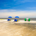Exploring the World of Sports in Harrison County, MS